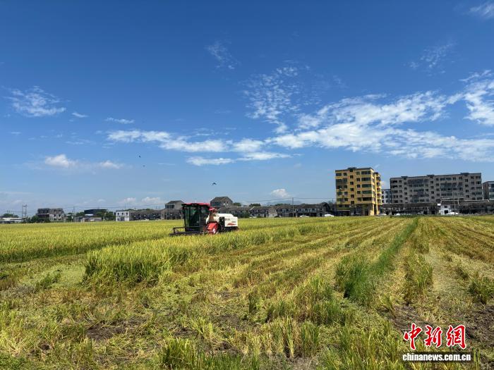 公司评论 (18) - 乐鱼官网
